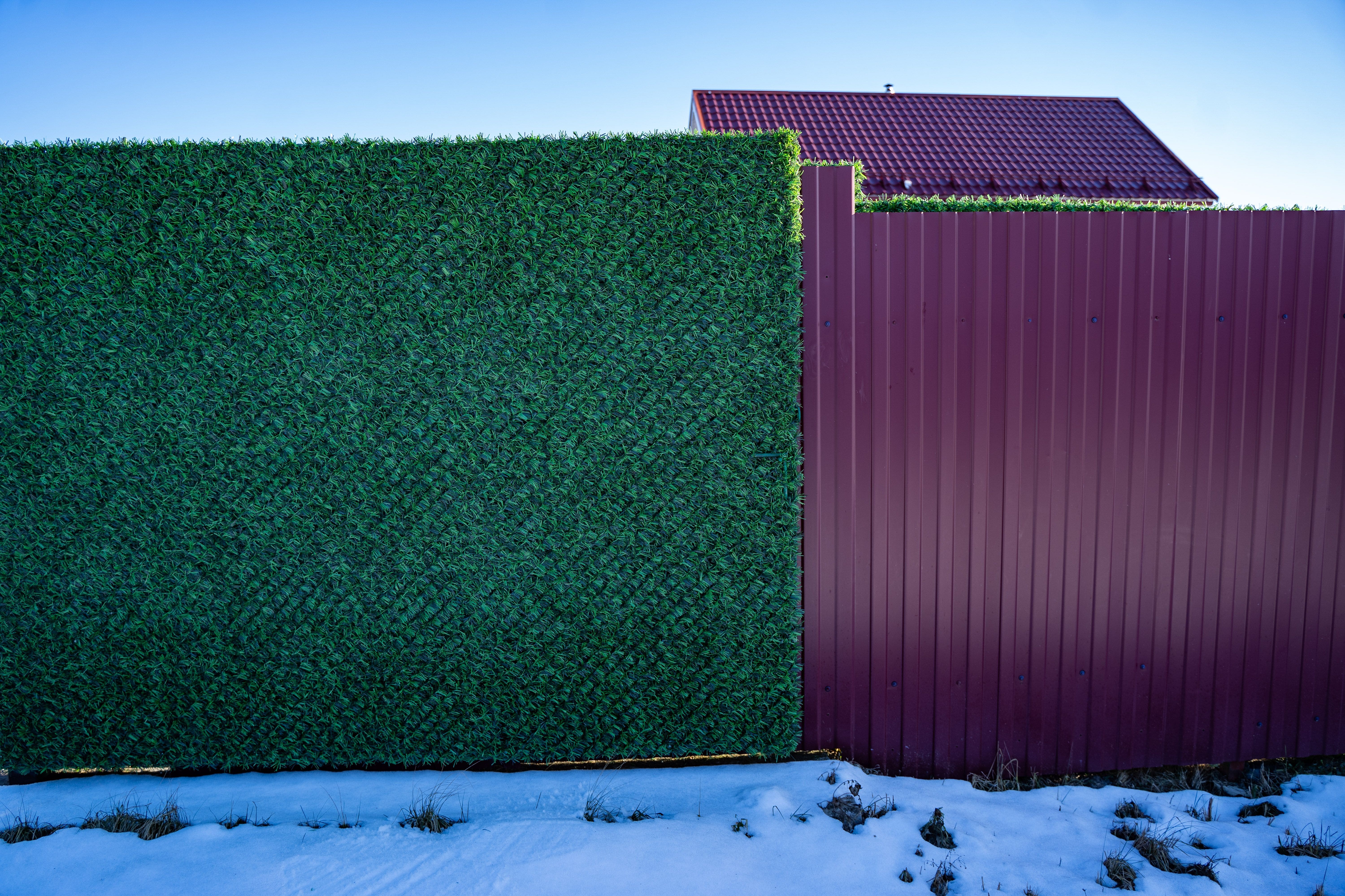 Вечнозеленый забор Grass Fence рулон 2м фото 2 в Севастополе